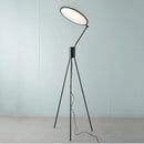 Nordic Postmodern LED Floor Lamp by Axyaa: Stylish Home Décor Lighting