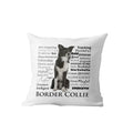 Axyaa Dachshund Dog Velvet Cushion Cover for Living Room Sofa - Home Decor Pillowcase