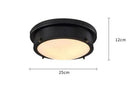 Axyaa Vintage Industrial Ceiling Lamp for Living Room Bedroom Aisle Porch