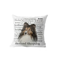 Axyaa Dachshund Dog Velvet Cushion Cover for Living Room Sofa - Home Decor Pillowcase