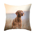 Axyaa Dog Print Polyester Cushion Cover for Sofa Living Room 45X45CM