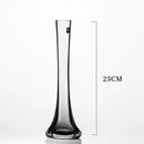 Axyaa Oblique Glass Vase for Flowers - Modern Desk Home Decor