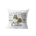 Axyaa Dachshund Dog Velvet Cushion Cover for Living Room Sofa - Home Decor Pillowcase