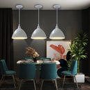Axya Industrial Vintage LED Pendant Lamp for Stylish Living Room & Bedroom Lighting
