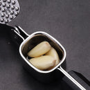 Axyaa Stainless Steel Garlic Press Kitchen Tool Processor Fruit Vegetable Crusher