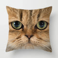 Axyaa Cat Face Print Throw Pillow Cover for Home Sofa Decor