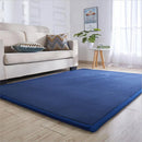 Axyaa Coral Fleece Tatami Floor Mat for Soft Bedroom Living Room Rugs