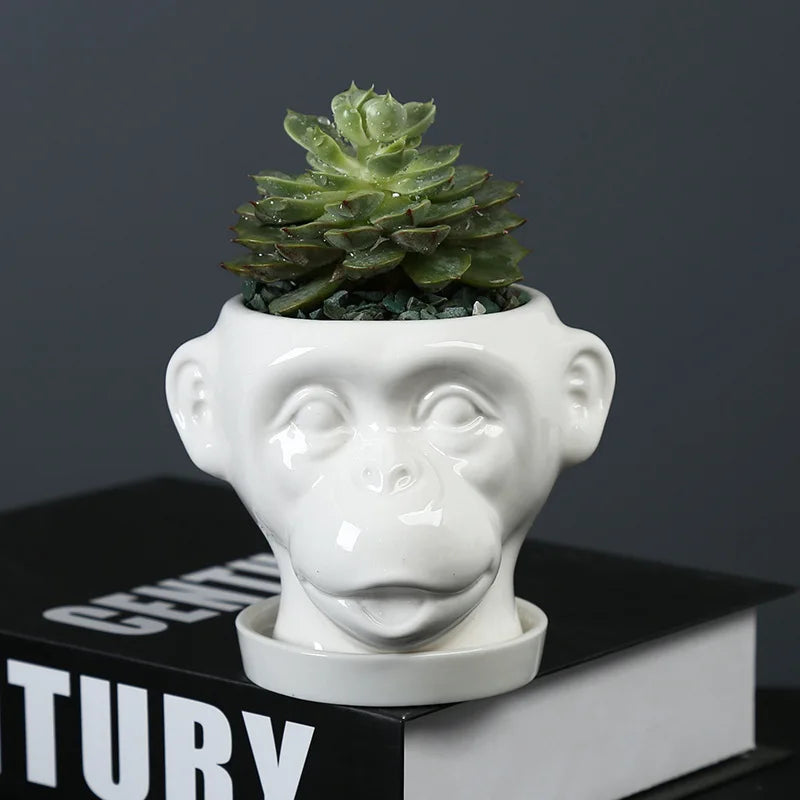 Axya Ceramic Flowerpot for Succulents & Green Plants – Hericium Shape Vase & Desktop Decoration
