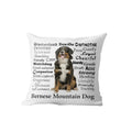 Axyaa Dachshund Dog Velvet Cushion Cover for Living Room Sofa - Home Decor Pillowcase