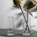 Axyaa Clear Glass Vase: Stylish Cylinder for Hydroponic Flowers and Home Decor
