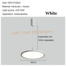 Axyaa Disc LED Pendant Lights Modern Stylish for Restaurant Bar Cafe Living Room