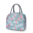 Axyaa Insulated Fashion Lunch Bag with Functional Pattern - Portable Thermal Food Box