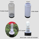 Axyaa Stainless Steel LED Yard Light - Black Outdoor Landscape Lamp