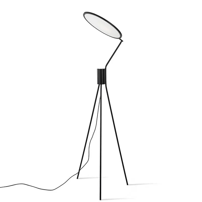 Nordic Postmodern LED Floor Lamp by Axyaa: Stylish Home Décor Lighting