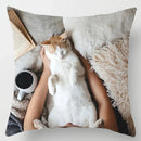 Axyaa Cute Cat Hug Pillowcase Interactive Cushion for Home Sofa Decor