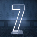 Light-Up Neon Number Signs by Axyaa with Dimmer - USB Powered