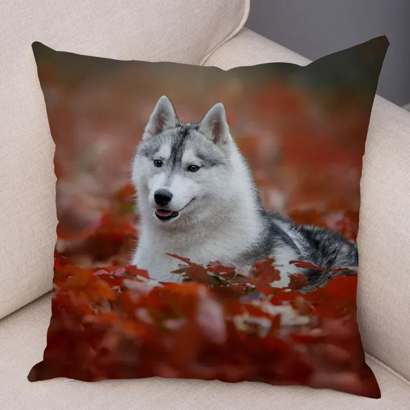 Axyaa Siberian Husky Pet Sofa Cushion Cover - Cute Dog Print Pillowcase Decor