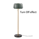 Axyaa Modern Double Glass Floor Lamp Minimalist Standing Lighting for Home Living Room