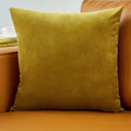 Axyaa Velvet Pillow Cover Modern Home Decor 30x50 45x45 50x50
