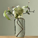 Axyaa Transparent Glass Zen Vase for Living Room Decor and Hydroponic Plants