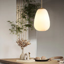 Axyaa Modern Pendant Light Chandelier for Indoor Living Room Lighting
