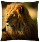 Axyaa 3D Animal Print Cushion Covers (18" x 18") - Cute Collection