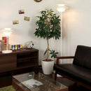 Axyaa Nordic LED Floor Lamp for Bedroom, Living Room, and Study