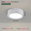 Axyaa LED Downlight Ceiling Lamp, Ultra Thin, Modern Design, Bedroom Living Room Lighting