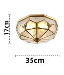Axyaa Classic Copper Ceiling Light with Glass Shade for Home Decor Lighting