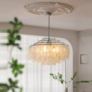 Axyaa Shell Chandelier Pendant for Living Dining Bedroom Light