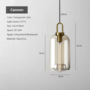 Axyaa Nordic Glass Pendant Light for Home Kitchen Restaurant