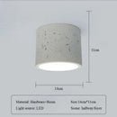 Axyaa LED Tube Light Ceiling Spotlight for Living Room Bedroom Corridor, Japanese Retro Style
