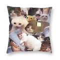 Crying Cat Cushion Cover Axyaa Dynamic Series Branded Design Square Pillow Cover