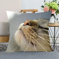 Cute Cat Print Pillowcase by Axyaa - Perfect for Home, Car, and Sofa