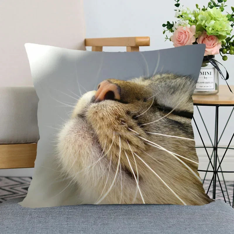 Cute Cat Print Pillowcase by Axyaa - Perfect for Home, Car, and Sofa