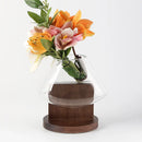 Axyaa Glass Vase Fluid Abstract Terrarium Home Decoration