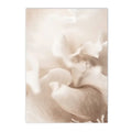 Peony Rose Dandelion Botanical Flower Canvas Art Print - Axyaa Nordic Wall Poster Art