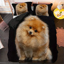 Pomeranian Dog Print Duvet Set by Axyaa