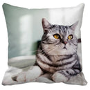 Axyaa Black Cat Bubble Pillow Cases - Premium Animal Cushion Cover for Home Decor
