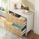 Axyaa 2-Drawer Lateral File Cabinet for Office Storage and Organization