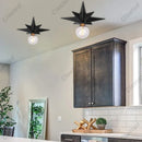 Axyaa LED Star Ceiling Light E27 Dual Color Living Room Kitchen Dining Lighting Fixtures
