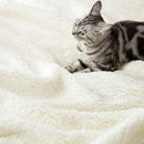 Axyaa Plush Sherpa Blanket: Soft, Cozy, Reversible Queen Size Throw