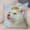 Axyaa Siberian Husky Pet Sofa Cushion Cover - Cute Dog Print Pillowcase Decor