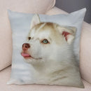 Axyaa Siberian Husky Pet Sofa Cushion Cover - Cute Dog Print Pillowcase Decor