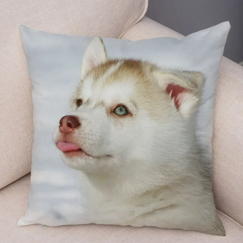 Axyaa Siberian Husky Pet Sofa Cushion Cover - Cute Dog Print Pillowcase Decor
