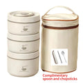 Axyaa Multi-Layer Stainless Steel Lunch Box for Office & School