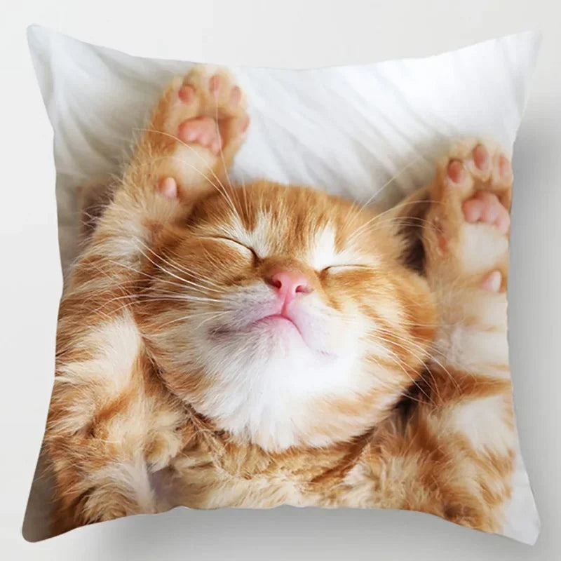 Axyaa Cat Collection Pillowcase - Home & Office Decor Square Pillowcase