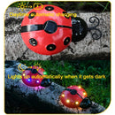 Solar Ladybug Hanging Light for Front Porch & Backyard Decor by Axyaa