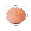 Axyaa Feather Table Lamp: Elegant Decoration for Home, Living Room, Bedroom