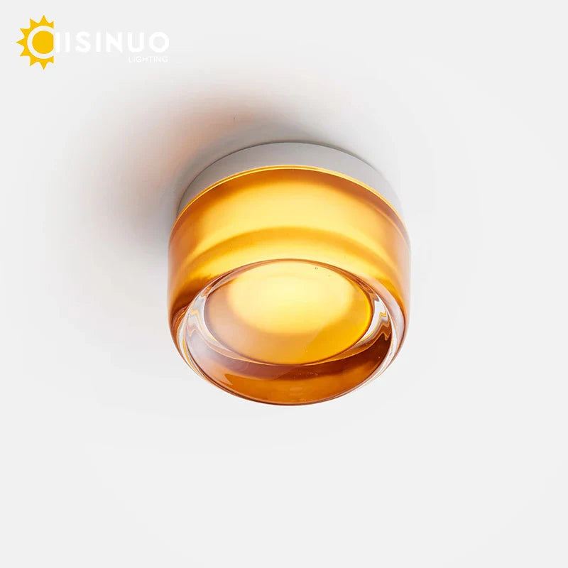 Axyaa Round Glass LED Wall Sconce for Indoor Outdoor Lighting